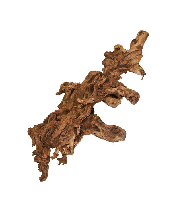 Hölzer, Rinde & Wurzeln