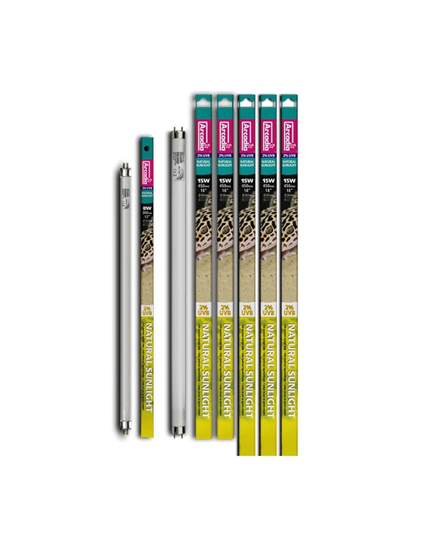 Arcadia Natural Sunlight T8 Leuchtstoffröhre mit 2% UVB und Tageslichtspektrum für Terrarien