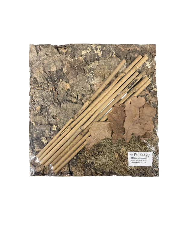 Dekorationsset mit Korkrückwand für Exo Terra Terrarium