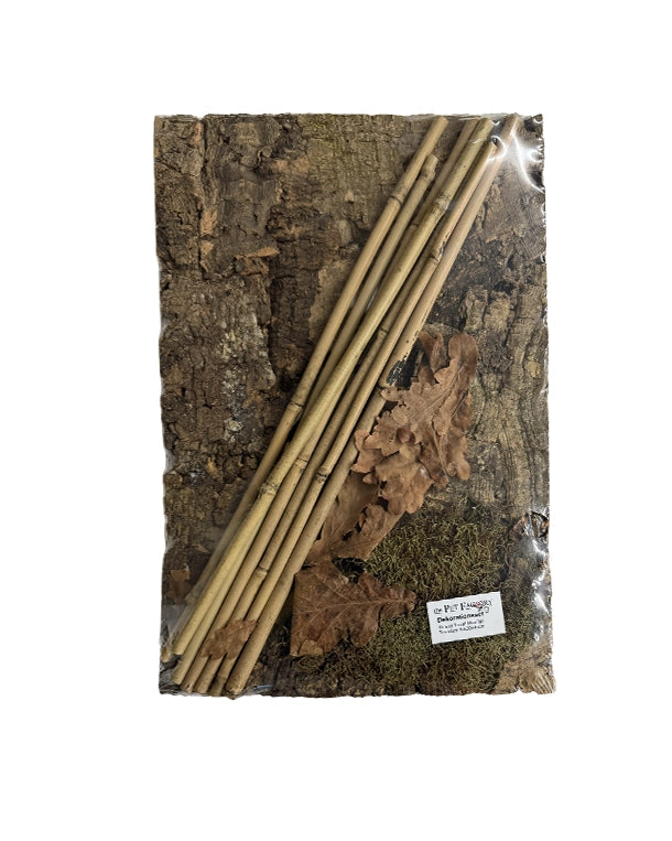 Terrarium Rückwand Set mit Moos Laub und Bambus