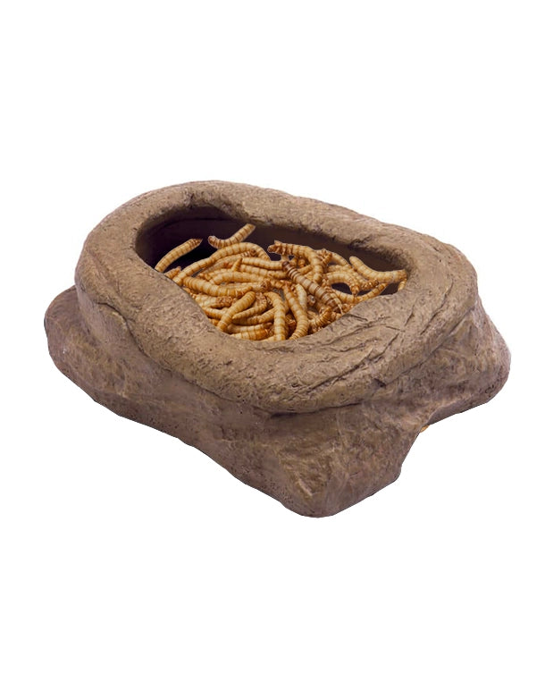 Exo Terra Worm Dish Wurmfutterschale mit Randring für Mehlwürmer im Terrarium ausbruchsicher mit Mehlwürmer