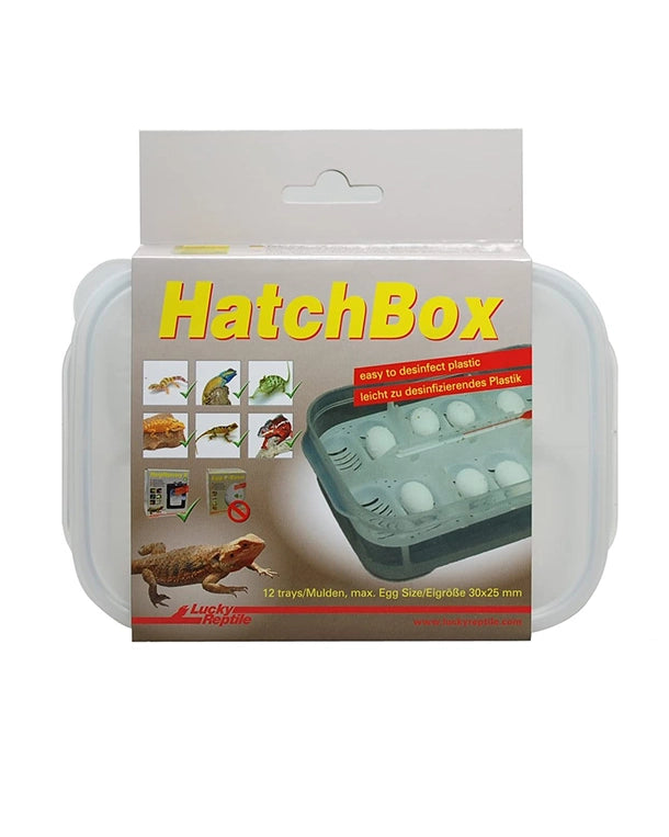 Hatch Box Inkubationsbox zur substratlosen Bebrütung von Reptilieneiern über Wasser.
