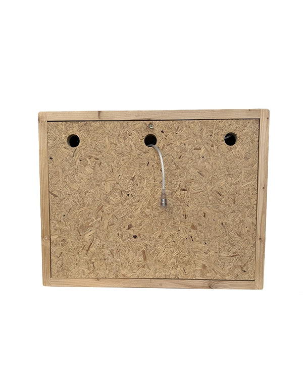 Holz-Terrarium aus Fichte mit eingeschobenem Glasterrarium und LED-Beleuchtung.