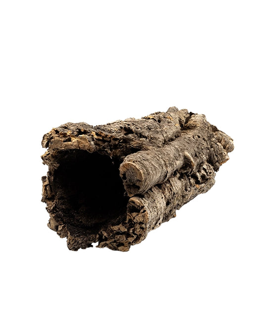 Korkröhren aus Naturkork bei Reptiking GmbH in Au (St. Gallen) kaufen und vor Ort aussuchen. Grosse Auswahl, unbehandelt, ideal für Terrarien.