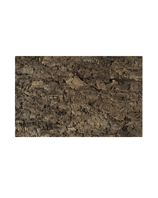 Naturnahe Korkrückwand für Terrarien aus unterschiedlich geformten Zierkorkstücken mit rauer Rindenoberfläche.