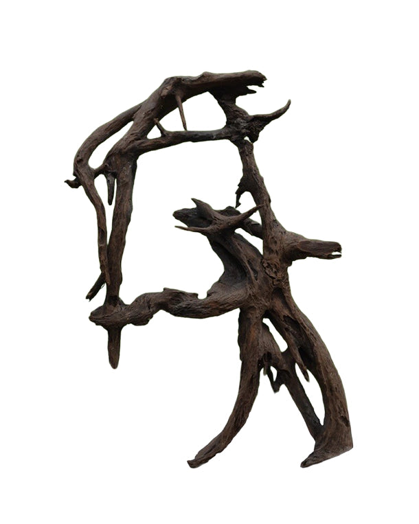 Die Mangrovenwurzel ist eine hochwertige, naturbelassene Wurzel und eignet sich ideal zur dekorativen und funktionalen Gestaltung von Aquarien und Terrarien. Mit ihrer markanten, organischen Struktur schafft sie eine authentische, naturnahe Umgebung und setzt zugleich einen ausdrucksstarken optischen Akzent.