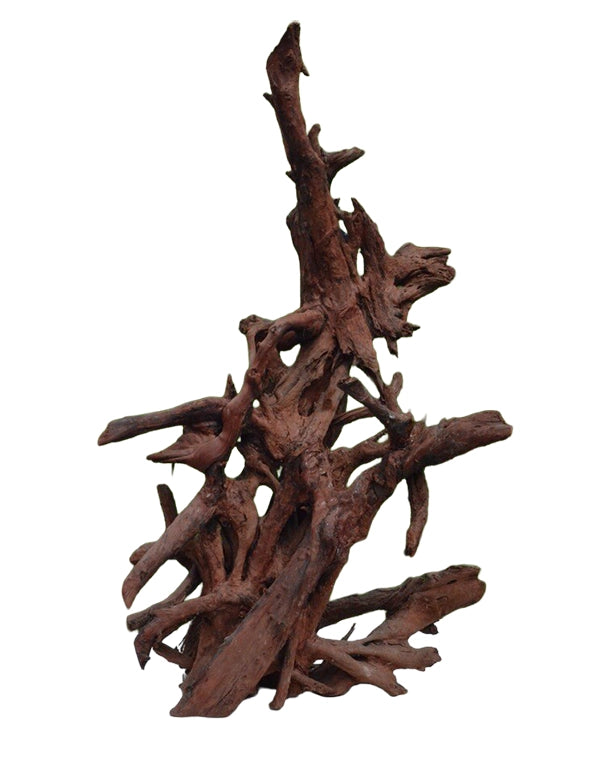 Die Mangrovenwurzel ist eine hochwertige, naturbelassene Wurzel und eignet sich ideal zur dekorativen und funktionalen Gestaltung von Aquarien und Terrarien. Mit ihrer markanten, organischen Struktur schafft sie eine authentische, naturnahe Umgebung und setzt zugleich einen ausdrucksstarken optischen Akzent.