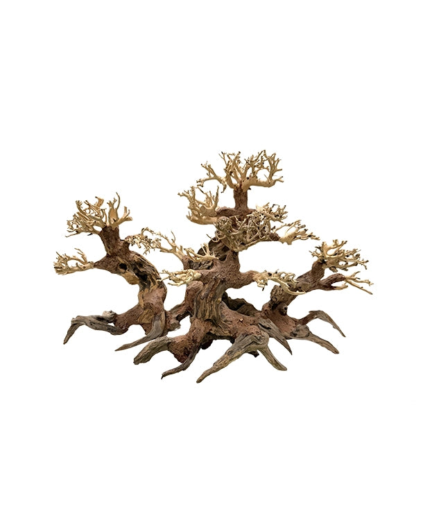 Nano Wald-Bonsai Unikat als natürliche Terrarien-Dekoration – Lieferung exakt wie abgebildet.