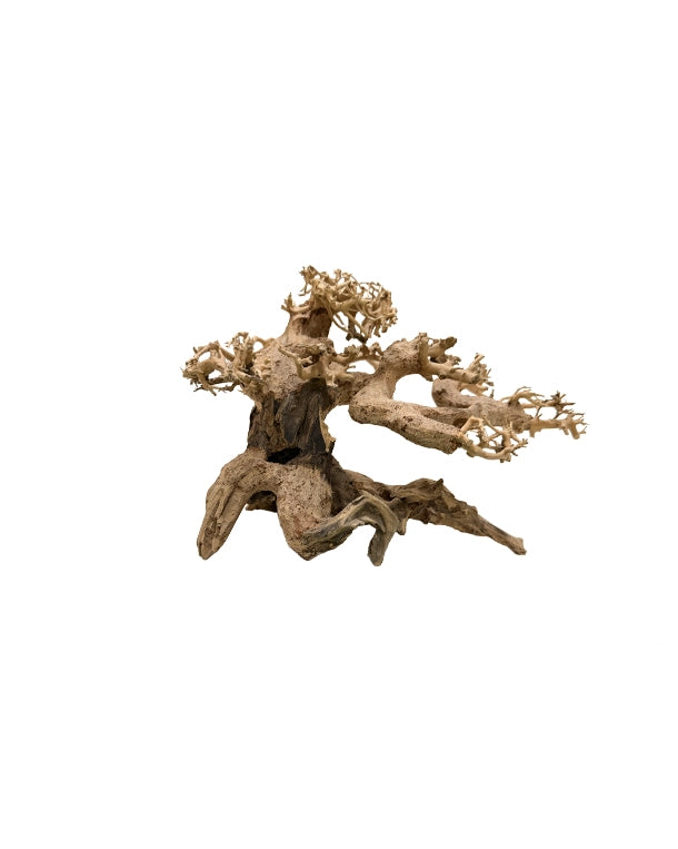 Nano Wald-Bonsai Unikat als natürliche Terrarien-Dekoration – Lieferung exakt wie abgebildet.