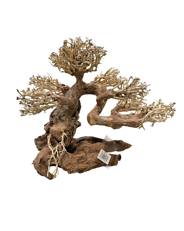 Nano Wald-Bonsai Unikat als natürliche Terrarien-Dekoration – Lieferung exakt wie abgebildet.