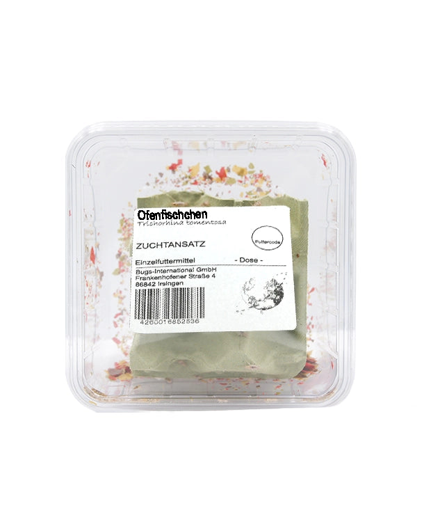 Ofenfischchen (Thermobia domestica) als lebende Futterinsekten von Reptiking