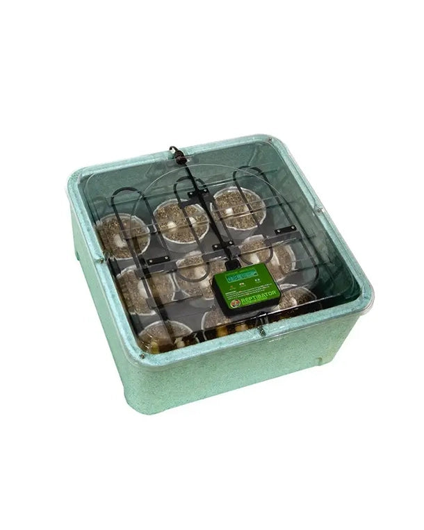 Premium Reptile Inkubator Flächenbrüter mit digitaler Temperatur- und Luftfeuchtigkeitsanzeige