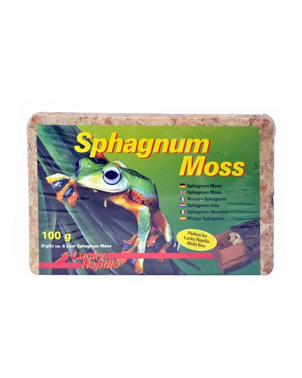 Sphagnum Moos als natürlicher Feuchtigkeitsspeicher für Terrarien