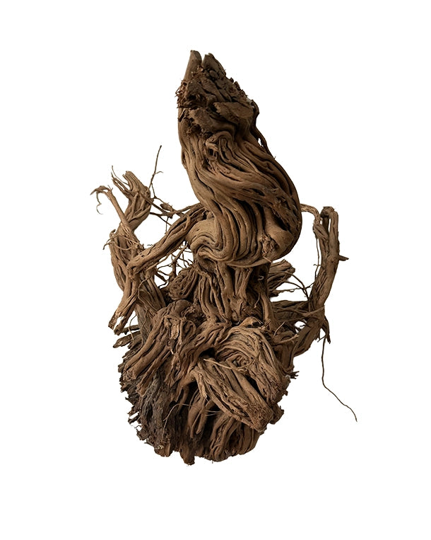 Extrem stark verästelte Spiderwood Naturwurzeln für Aquarium & Terrarium. Ideal für Aquascaping, Kletterstrukturen und naturnahe Gestaltung. Jedes Stück ein Unikat.