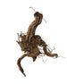 Extrem stark verästelte Spiderwood Naturwurzeln für Aquarium & Terrarium. Ideal für Aquascaping, Kletterstrukturen und naturnahe Gestaltung. Jedes Stück ein Unikat.