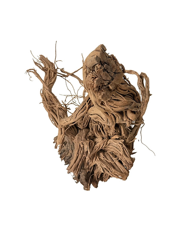 Extrem stark verästelte Spiderwood Naturwurzeln für Aquarium & Terrarium. Ideal für Aquascaping, Kletterstrukturen und naturnahe Gestaltung. Jedes Stück ein Unikat.