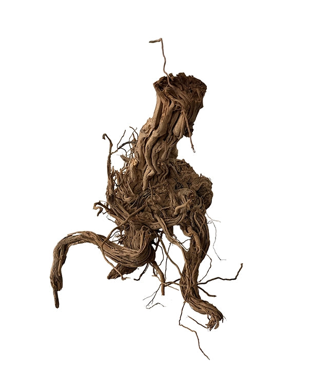 Extrem stark verästelte Spiderwood Naturwurzeln für Aquarium & Terrarium. Ideal für Aquascaping, Kletterstrukturen und naturnahe Gestaltung. Jedes Stück ein Unikat.