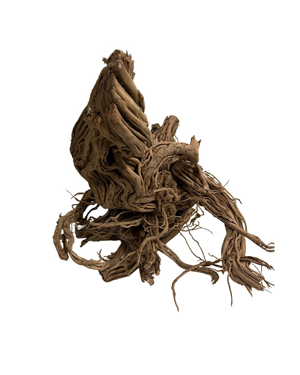 Extrem stark verästelte Spiderwood Naturwurzeln für Aquarium & Terrarium. Ideal für Aquascaping, Kletterstrukturen und naturnahe Gestaltung. Jedes Stück ein Unikat.