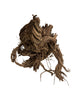 Extrem stark verästelte Spiderwood Naturwurzeln für Aquarium & Terrarium. Ideal für Aquascaping, Kletterstrukturen und naturnahe Gestaltung. Jedes Stück ein Unikat.