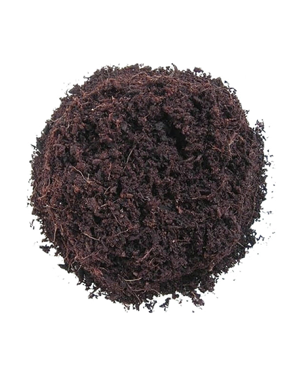 Terrarienhumus gequollen als gebrauchsfertiger Bodengrund für Terrarien