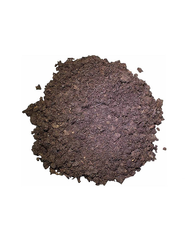 ucky Reptile Tortoise Bedding als natürliches Bodensubstrat für Landschildkröten.