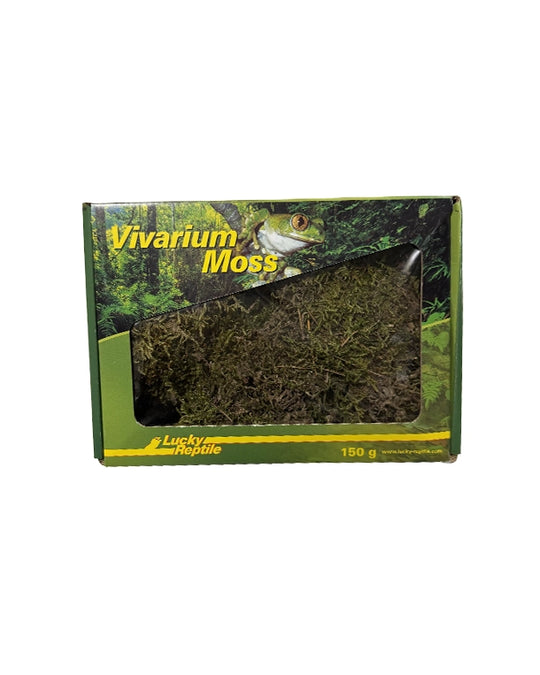 Natürliches Vivarium Moos für Terrarien zur Erhöhung der Luftfeuchtigkeit und Dekoration