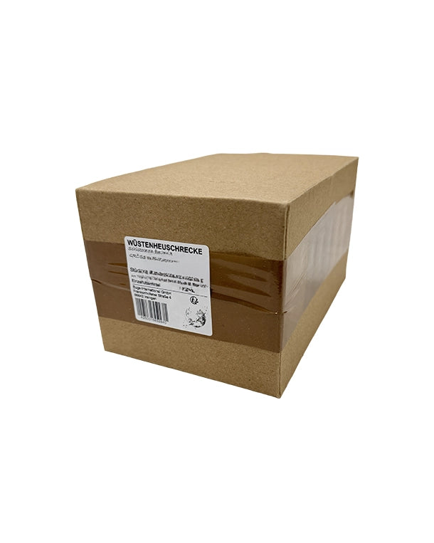 Wüstenheuschrecken Mittel 50-100Stück Lebendfutter für Reptilien