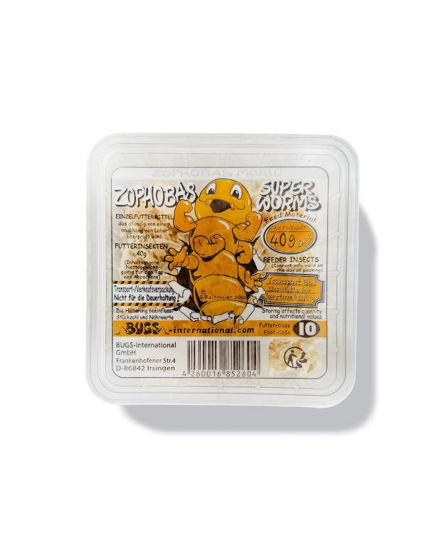 Zophobas Dose kaufen bei Reptiking, morio Riesenmehlwürmer Lebendfutter für Reptilien